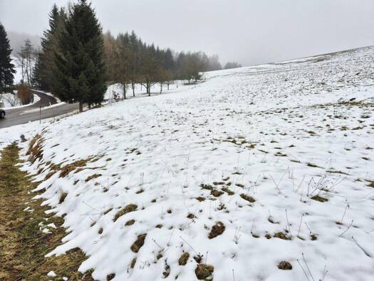 Land-/Forstwirtschaft zum Kauf 50.000 € 14.208 m² Grundstück Kettenreith 3233