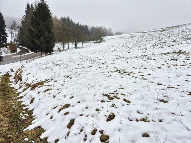 Land-/Forstwirtschaft zum Kauf 50.000 € 14.208 m² Grundstück Kettenreith 3233