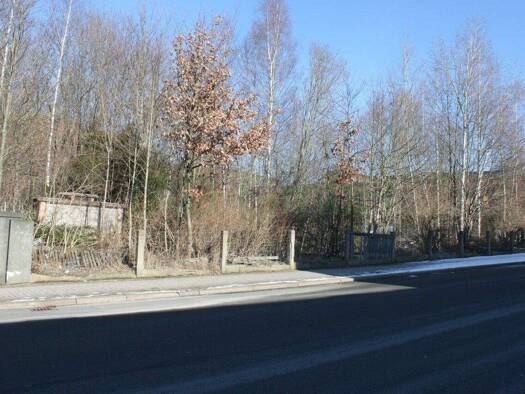 Gewerbegrundstück zum Kauf 120.000 € 3.975 m² Grundstück Reichenbach Reichenbach im Vogtland 08468