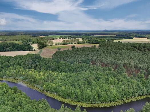 Land-/Forstwirtschaft zum Kauf 1.500 € 2.170 m² Grundstück Wolzig Heidesee 15754
