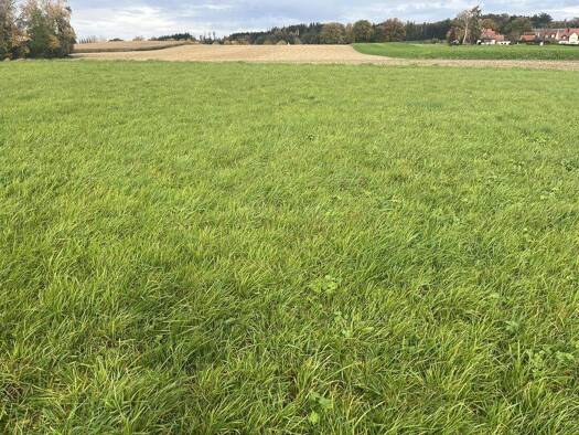 Grundstück zum Kauf 578.400 € 723 m² Grundstück Eisolzried Bergkirchen 85232