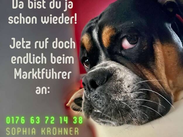 Bungalow zum Kauf - Erstbezug provisionsfrei 345.569 € 4 Zimmer 119 m² 545 m² Grundstück Olbernhau 09526