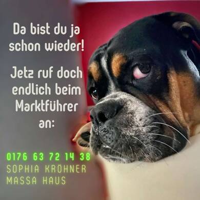 Bungalow zum Kauf - Neubau provisionsfrei 345.569 € 4 Zimmer 119 m² 545 m² Grundstück Olbernhau Olbernhau 09526