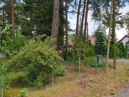 Grundstück zum Kauf 190.000 € 497 m² Grundstück Finkenstieg 10a Bindow Heidesee 15754