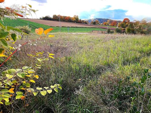 Grundstück zum Kauf 318.000 € 505 m² Grundstück frei ab sofort Zeitlarn 93197