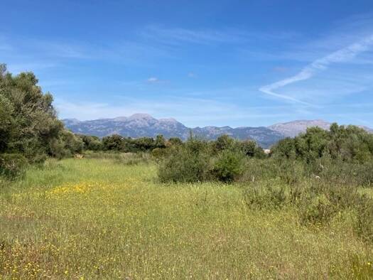 Grundstück zum Kauf 280.000 € 22.000 m² Grundstück Muro 07440