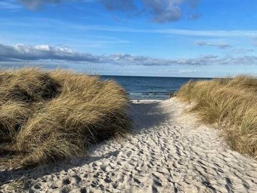 Haus zum Kauf 235.000 € 3 Zimmer 60 m² 1.300 m² Grundstück Wisch 24217