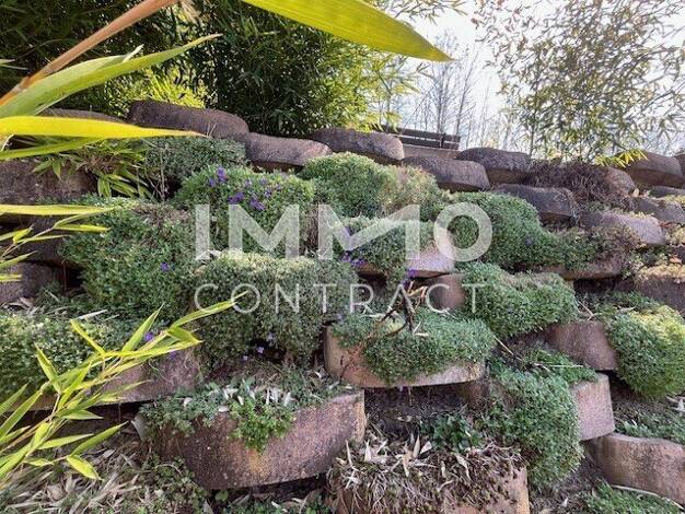 Einfamilienhaus zum Kauf 449.000 € 5 Zimmer 180 m² 755 m² Grundstück Niedersulz 2224