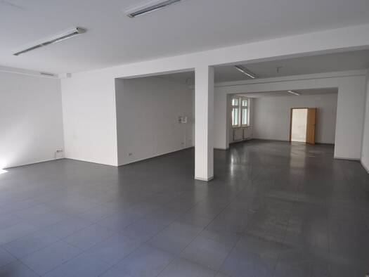 Ladenfläche zur Miete provisionsfrei 768 € 118 m² Verkaufsfläche Roßmarktsche Str. 3 Borna 04552