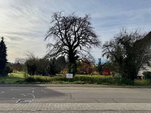 Grundstück zum Kauf provisionsfrei 395.000 € 1.703 m² Grundstück Bergseestraße Ortsgebiet Sinzheim 76547