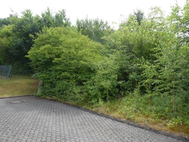 Grundstück zum Kauf 322.980 € 769 m² Grundstück frei ab sofort Weismark-Feyen Trier 54294