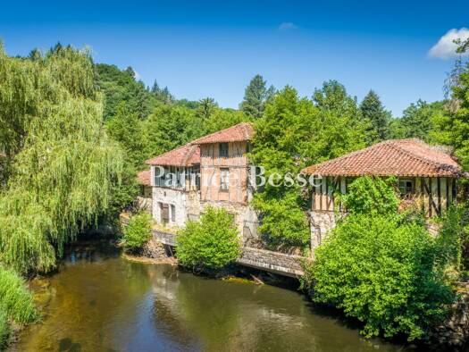 Reihenmittelhaus zum Kauf 250.000 € 6 Zimmer 600 m² 8.780 m² Grundstück Saint-Léonard-de-Noblat 87400