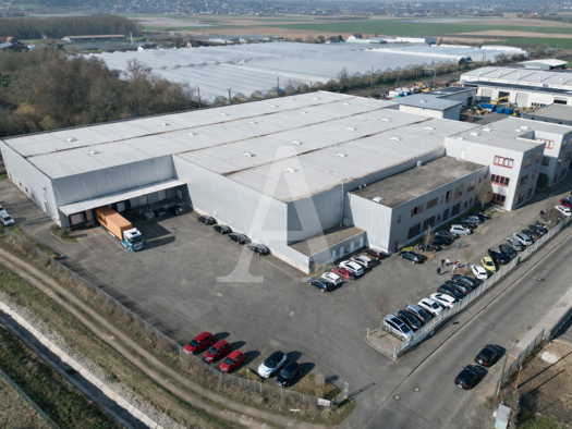 Halle/Industriefläche zur Miete provisionsfrei 7.305 m² Lagerfläche teilbar ab 7.305 m² Sechtem Bornheim 53332