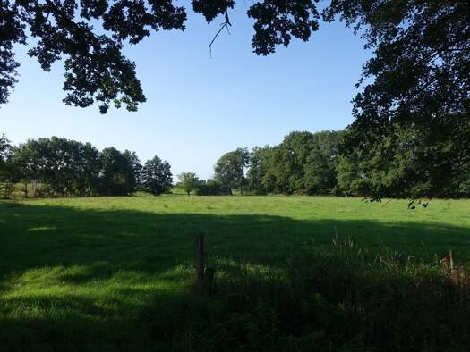 Land-/Forstwirtschaft zum Kauf Wietzen 31613