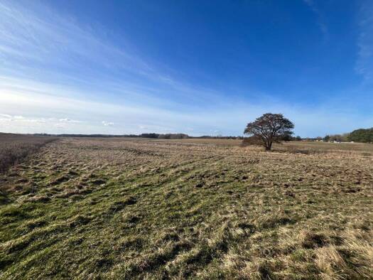 Land-/Forstwirtschaft zum Kauf 750.000 m² Grundstück Kobande Demen 19089