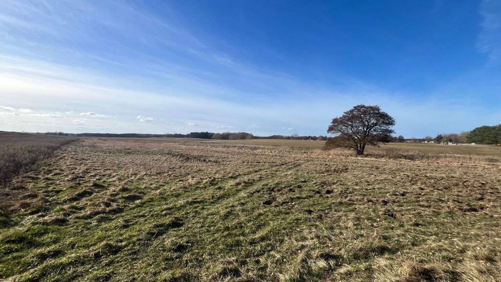 Land-/Forstwirtschaft zum Kauf 750.000 m² Grundstück Kobande Demen 19089