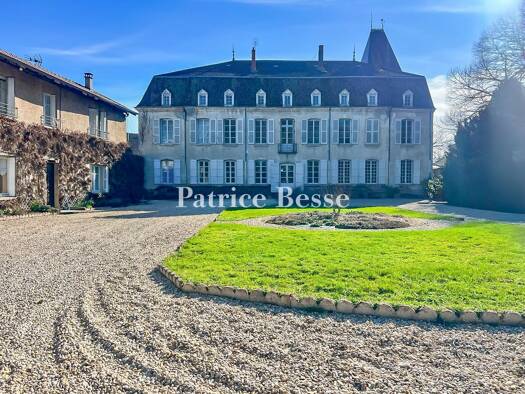 Einfamilienhaus zum Kauf 925.000 € 10 Zimmer 640 m² 8.850 m² Grundstück Centre Ville Bourg-en-Bresse 01000