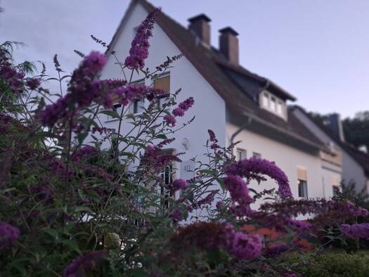 Einfamilienhaus zum Kauf provisionsfrei 205.000 € 6 Zimmer 160 m² 830 m² Grundstück Trendelburg Trendelburg 34388