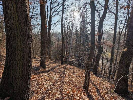 Grundstück zum Kauf 119.000 € 4.182 m² Grundstück Auerbach Zwickau 08066