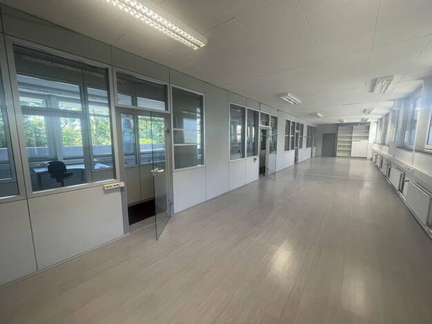 Bürofläche zur Miete provisionsfrei 9 € 222 m² Bürofläche Schafhausen Weil der Stadt 71263