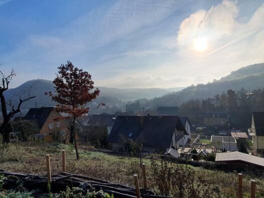 Grundstück zum Kauf 30.000 € 650 m² Grundstück Obermoschel 67823
