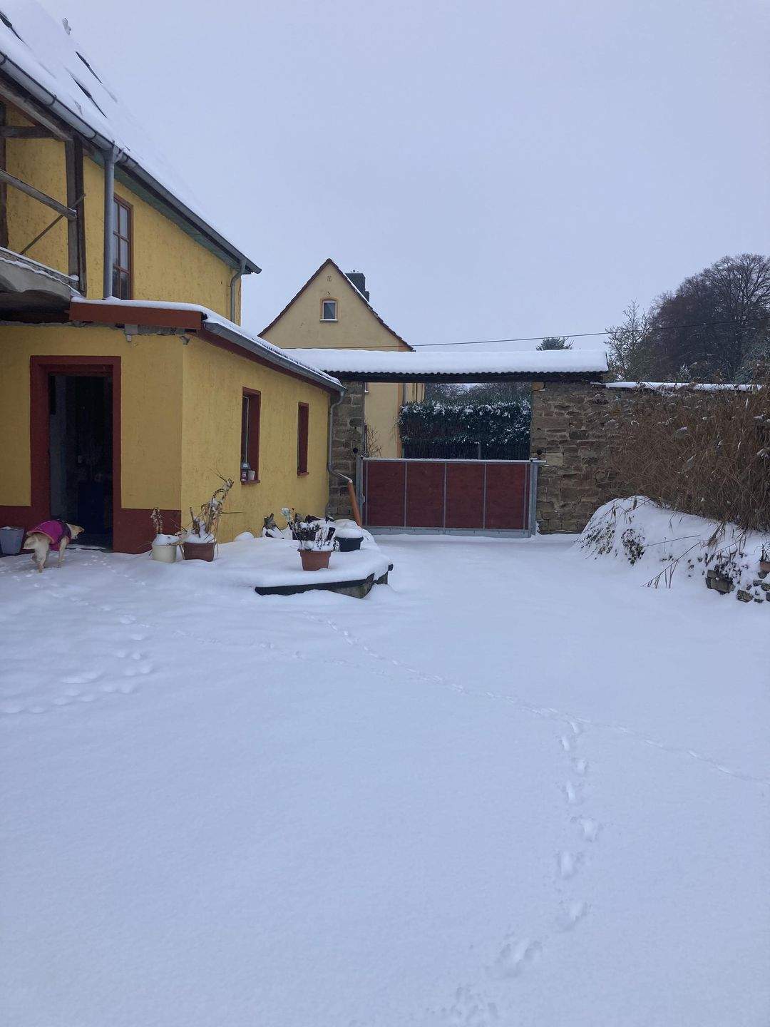 Immobilie in Bad Bibra - Ein Anwesen mit Seele - ideal für Naturliebhaber, Selbstversorger, Kreative oder Familien - Bild 3