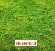 Grundstück in guter Lage mit Altbestand von Hannover - Lahe