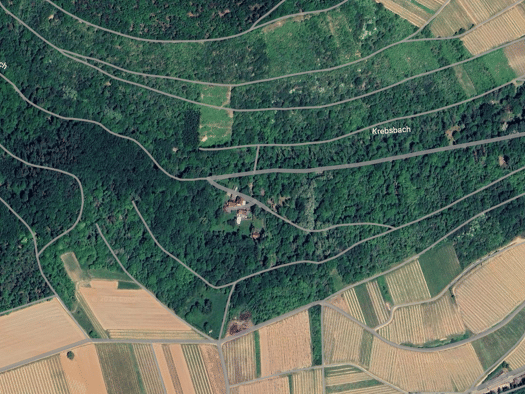 Land-/Forstwirtschaft zum Kauf provisionsfrei 1.900 € 579 m² Grundstück Münster-Sarmsheim 55424