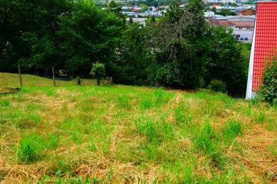 Grundstück zum Kauf 69.000 € 471 m² Grundstück Miltenberg Miltenberg 63897