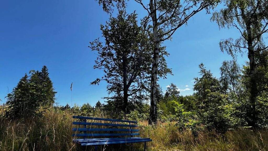 Grundstück zum Kauf 148.000 € 1.910 m² Grundstück Waldidylle Altenberg / Waldidylle 01773