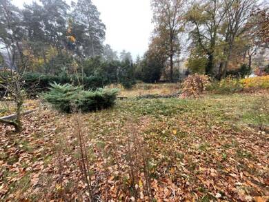 Grundstück zum Kauf 240.000 € 500 m² Grundstück Schildow Schildow 16552