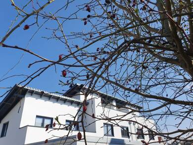 Haus zum Kauf - Neubau provisionsfrei 670.000 € 5 Zimmer 150 m² 297 m² Grundstück frei ab sofort Nord Waldkraiburg 84478