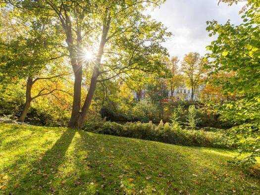 Wohnung zur Miete 890 € 2 Zimmer 66 m² frei ab 01.12.2025 Schützenplatz Lüneburg 21335