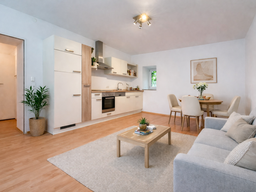 Wohnung zur Miete 550 € 1,5 Zimmer 44 m² 1. Geschoss Klaftergasse 2 Altstadt Passau 94032