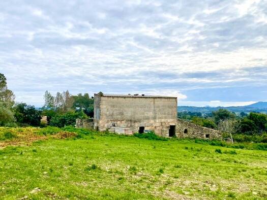 Haus zum Kauf 260.000 € 3 Zimmer 160 m² 15.199 m² Grundstück Maria de la salut