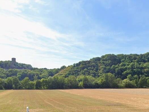 Land-/Forstwirtschaft zum Kauf provisionsfrei 3.600 € 1.980 m² Grundstück Heinsheim Bad Rappenau 74906