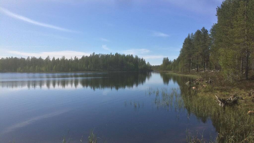 Forstwirtschaft zum Kauf 295.000 € 1.720.000 m² Gasa Slagnäs 