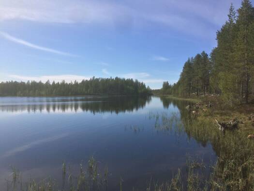 Forstwirtschaft zum Kauf 295.000 € 1.720.000 m² Arjeplogs kommun