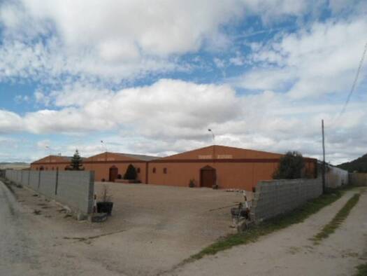 Ladenfläche zum Kauf 1.917 m² Verkaufsfläche Lg Vadillo 117 Poligono 4 Parcela 117 117 Tudela de Duero 47320
