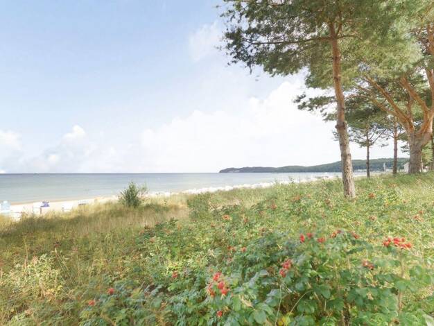 Wohnung zum Kauf 345.000 € 2 Zimmer 68 m² Binz Binz 18609