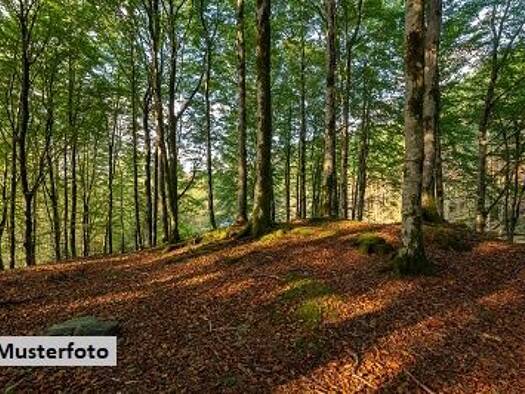 Land-/Forstwirtschaft zum Kauf 392 € 818 m² Grundstück . Kemeten 7531