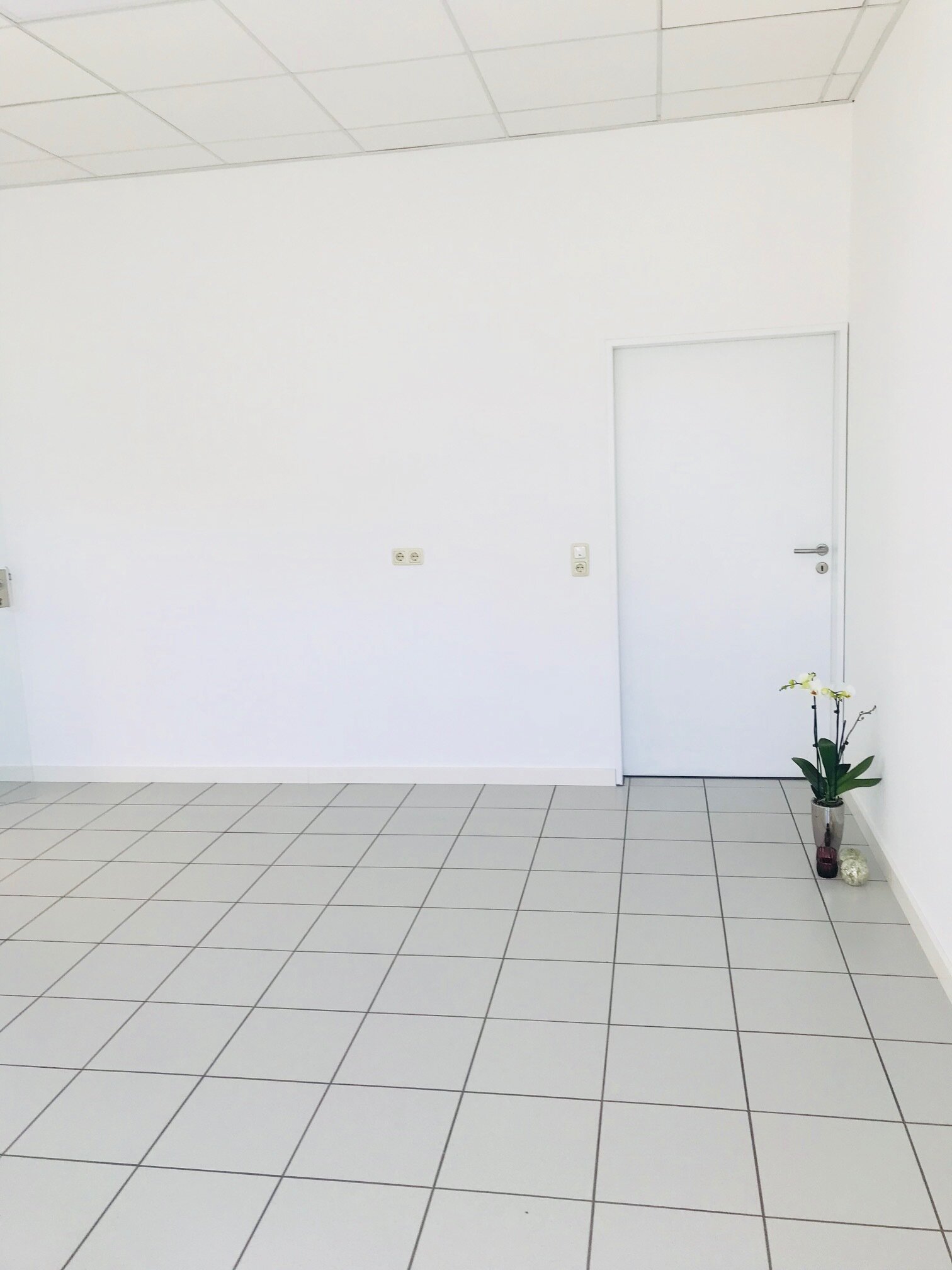 Bürogebäude zur Miete provisionsfrei 3 Zimmer 331 m²<br/>Bürofläche christlmoser@aol.de Aulzhausen Affing 86444