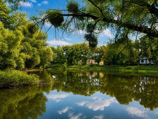 Grundstück zum Kauf 355.000 € 834 m² Grundstück Falkensee 14612