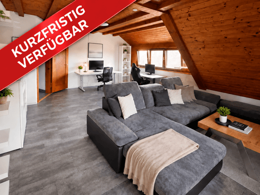 Wohnung zur Miete 1.050 € 3 Zimmer 87 m² frei ab 01.11.2026 Wangen Öhningen 78337