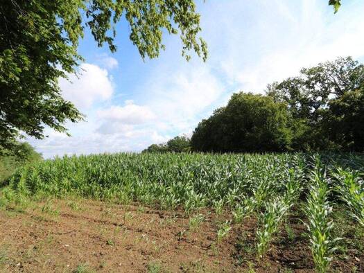 Land-/Forstwirtschaft zum Kauf 58.745 m² Grundstück Antendorf Auetal 31749