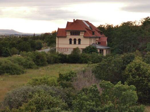 Villa zum Kauf 798.500 € 23 Zimmer 837 m² 7.169 m² Grundstück Roßleben Querfurt 06571