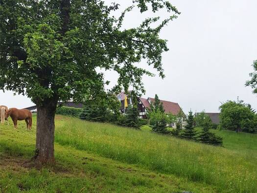 Grundstück zum Kauf 95.000 € 1.700 m² Grundstück Dorfhain 01738