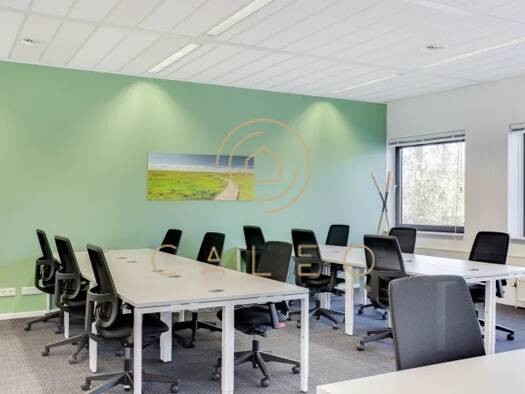 Bürofläche zur Miete provisionsfrei 1.250 m² Bürofläche teilbar ab 1 m² Metzingen Metzingen 72555