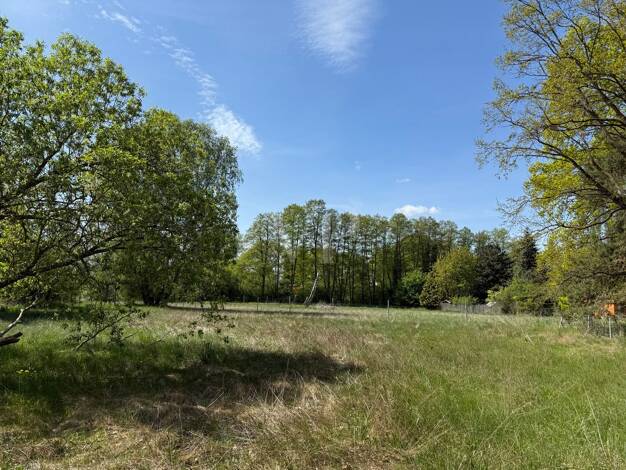 Grundstück zum Kauf 1.395.000 € 7.222 m² Grundstück Stolzenhagen Wandlitz 16348