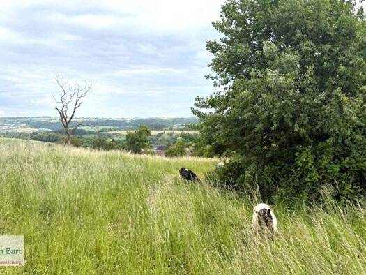 Grundstück zum Kauf 239.800 € 1.038 m² Grundstück Kirf 54441